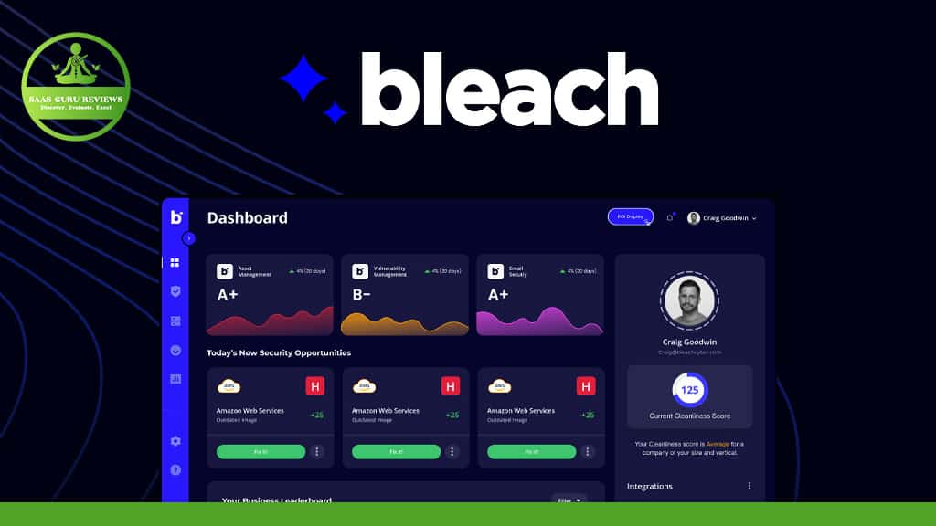 bleach cyber