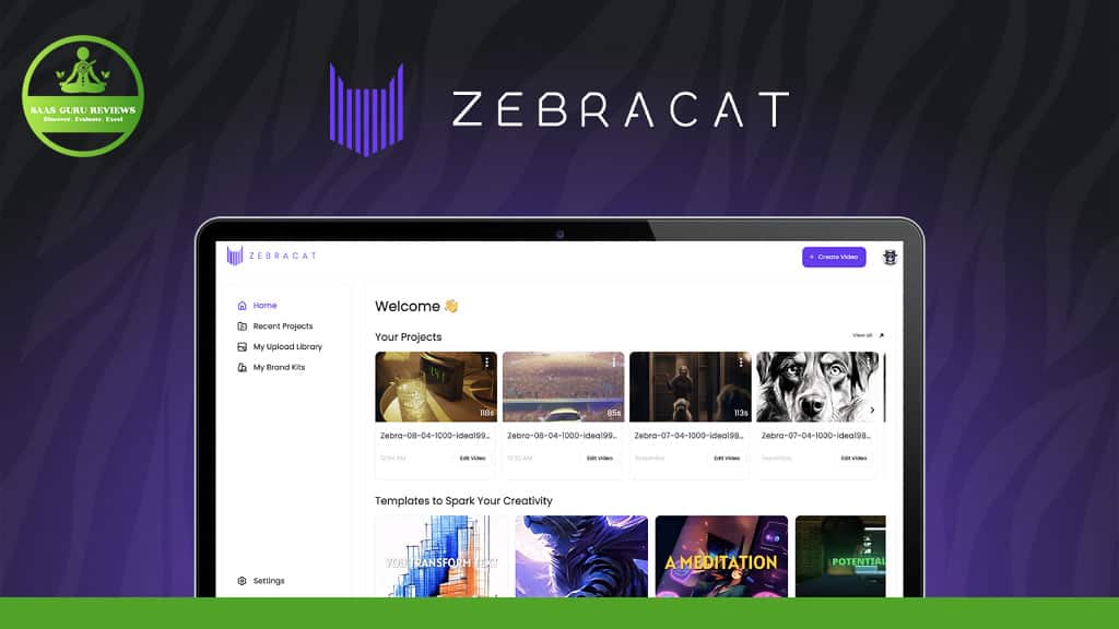 zebracat
