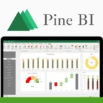 A laptop screen displaying various charts and graphs in a data visualization software. The label "Pine BI" with a mountain logo is at the top. Another logo is on the left side of the image, highlighting the stunning dashboards possible with this Excel Add-In.