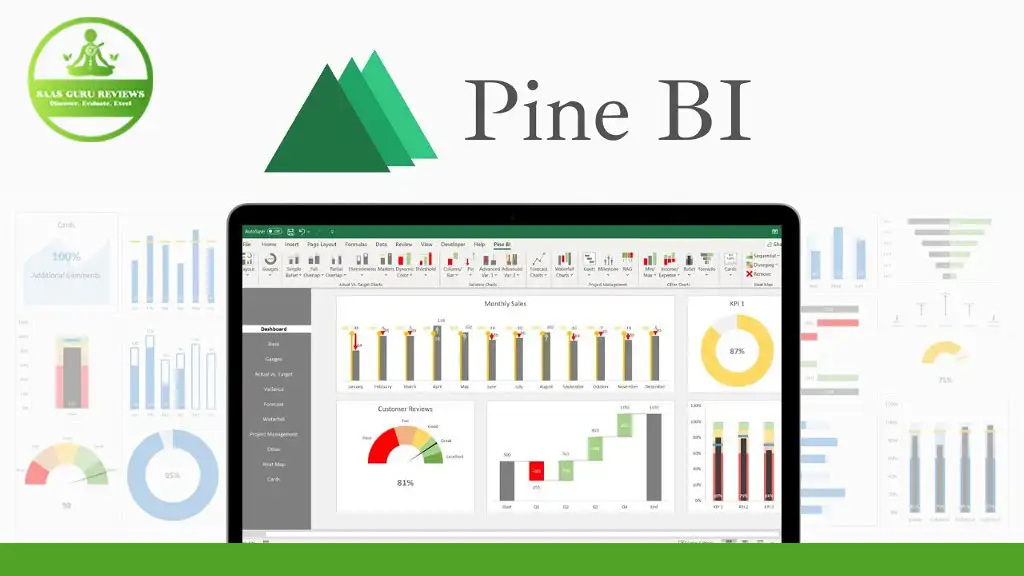 A laptop screen displaying various charts and graphs in a data visualization software. The label "Pine BI" with a mountain logo is at the top. Another logo is on the left side of the image, highlighting the stunning dashboards possible with this Excel Add-In.