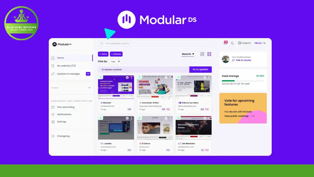 Screenshot of a digital design platform interface called Modular DS, showing project thumbnails, a filter option, and a storage use indicator against a purple and green background.