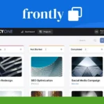 Screenshot of a project management dashboard showing project statuses: In Progress, Not Started, and Completed, under the branding "frontly" and "AGENCYONE.
